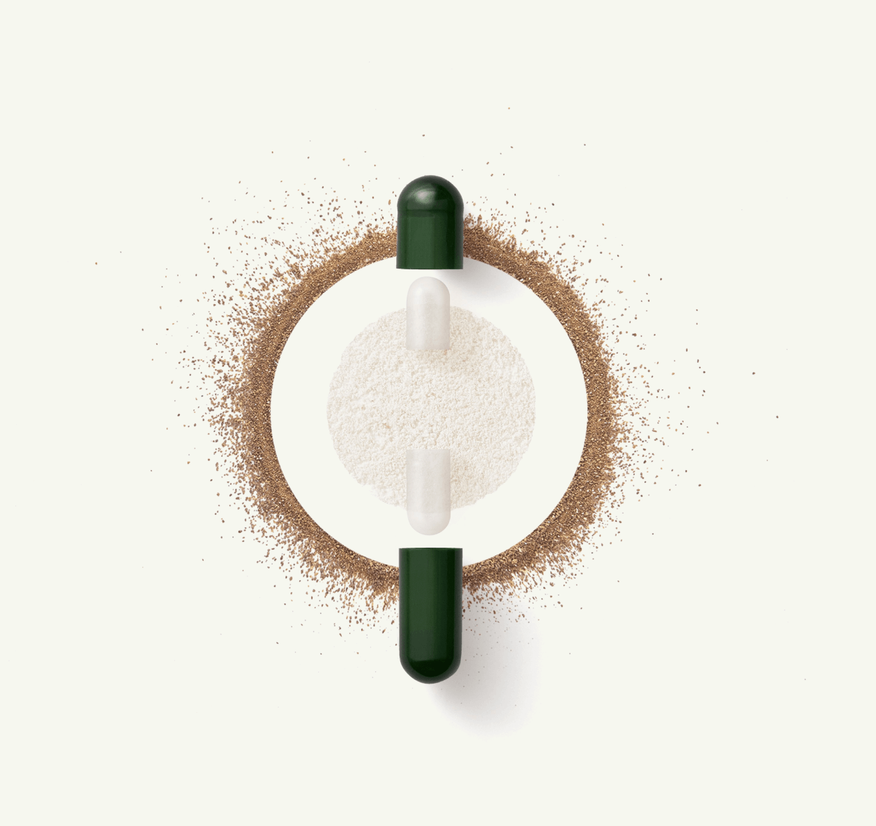 24 strain formula for transformative gut benefits*